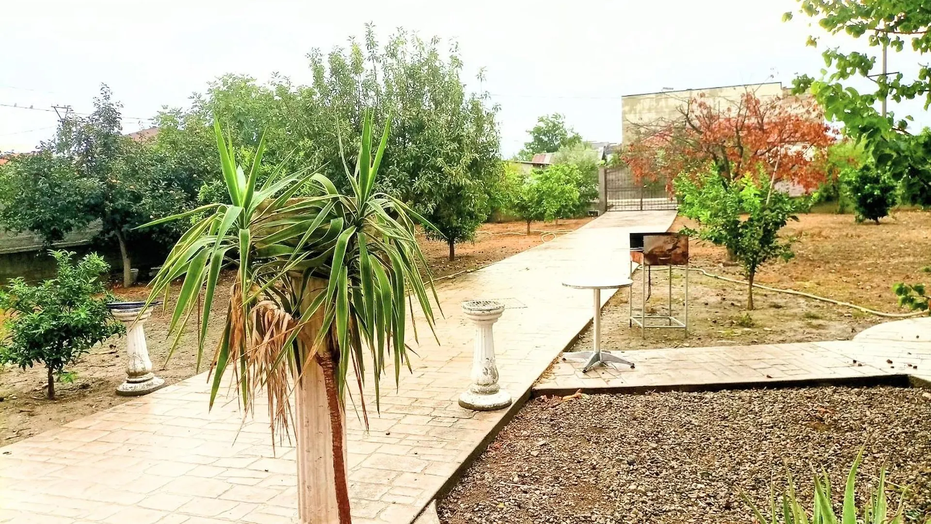 Villas For Rent Best View